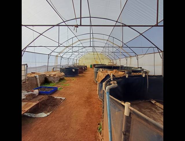 8.50HA FARM FOR SALE IN NOOITGEDACHT AH